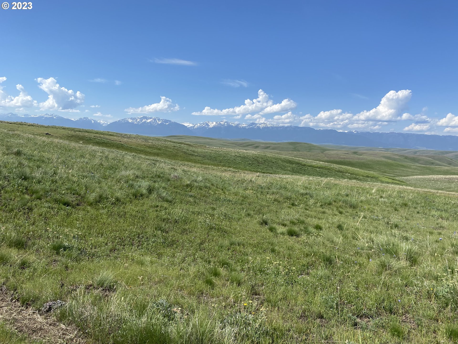 0 Elk Mt Road Enterprise, OR 97828 - Photo 3 of 17