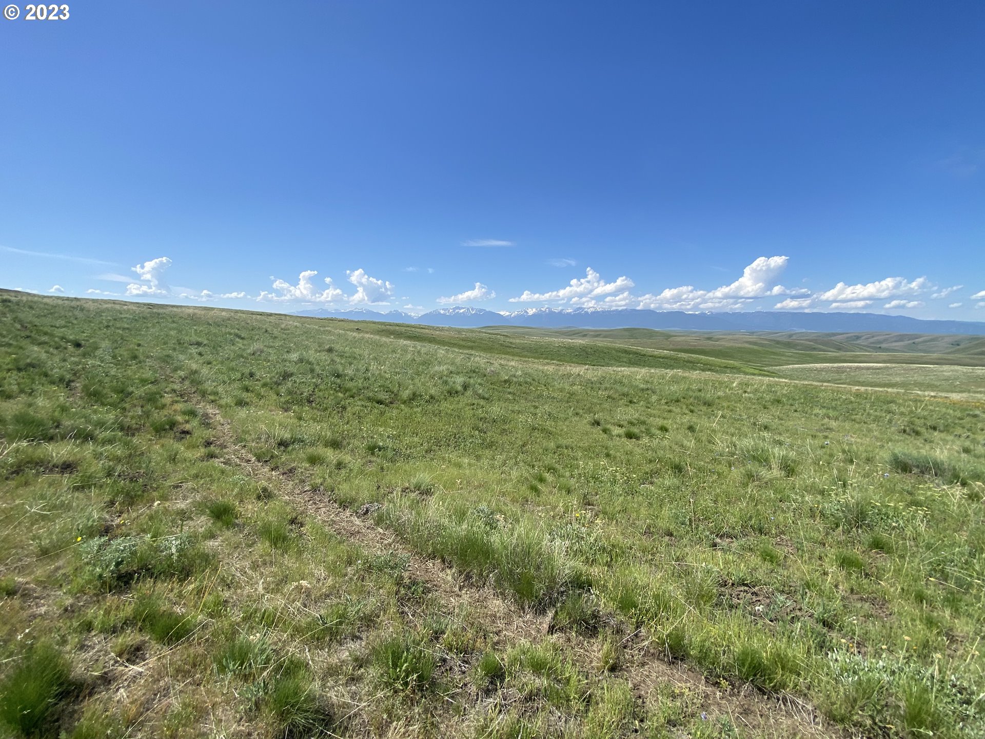 0 Elk Mt Road Enterprise, OR 97828 - Photo 8 of 17