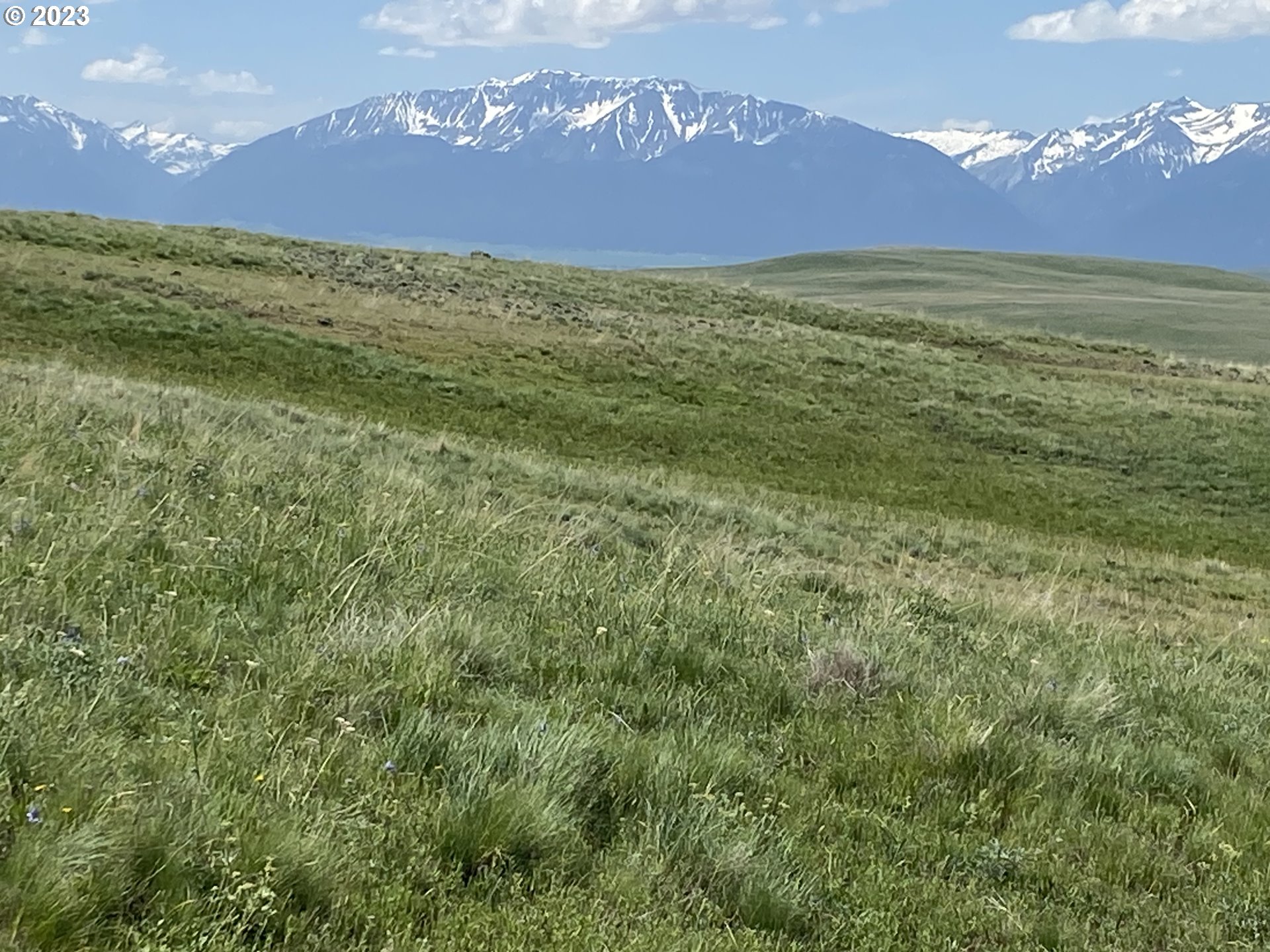 0 Elk Mt Road Enterprise, OR 97828 - Photo 9 of 17