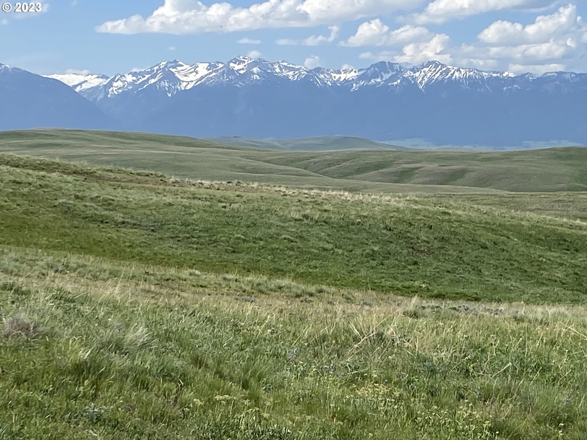 0 Elk Mt Road Enterprise, OR 97828 - Photo 10 of 17