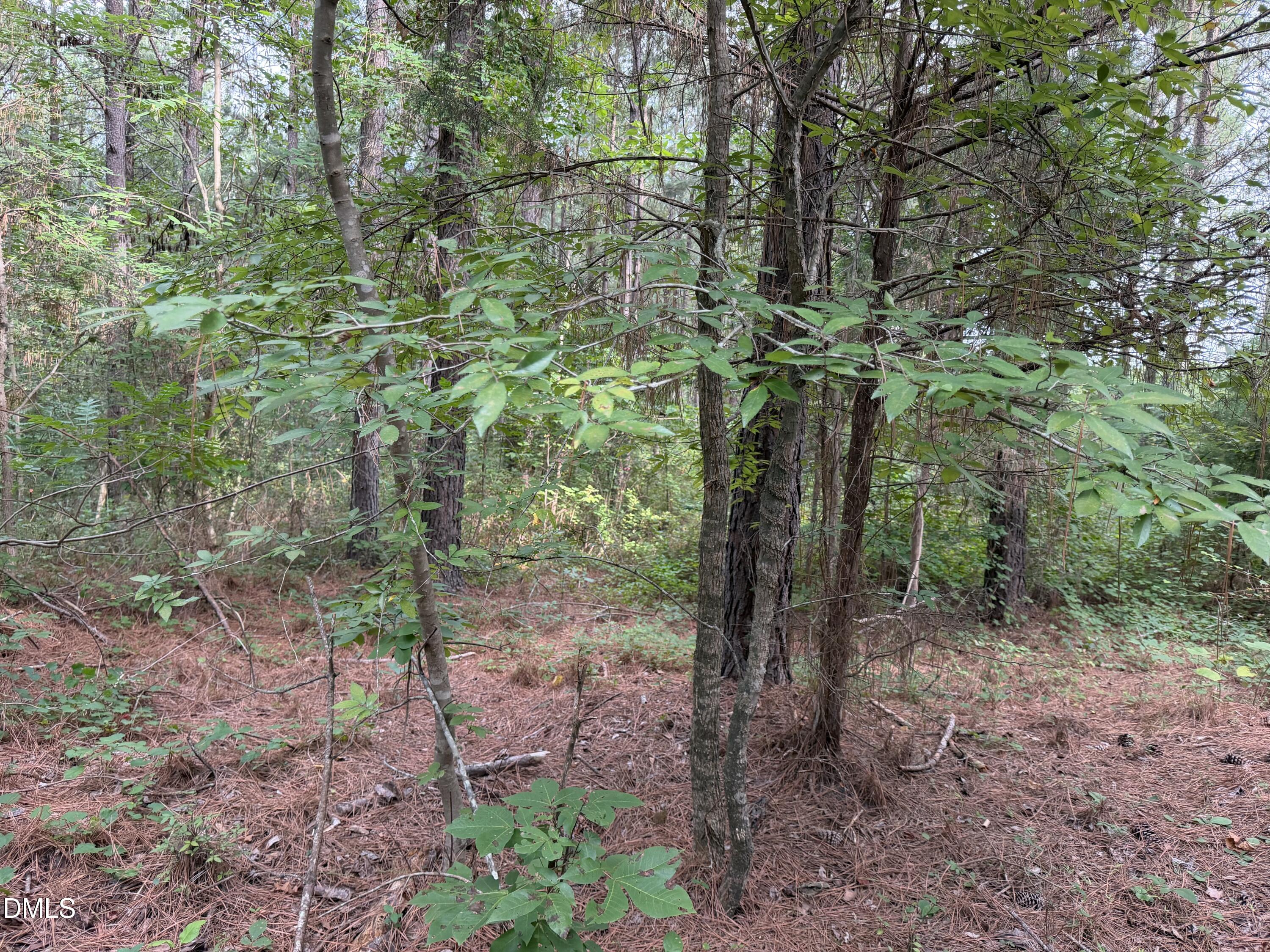 0 Chatham Church Road Moncure, NC 27559 - Photo 10 of 17 IMG_8910
