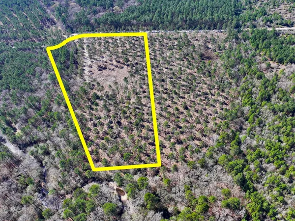 a view of a yard with plants and wooden fence