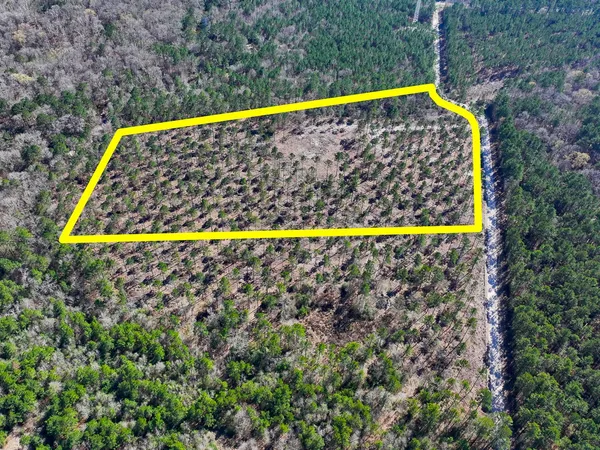 a view of a yard with swimming pool