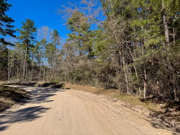 a view of a yard with wooden fence