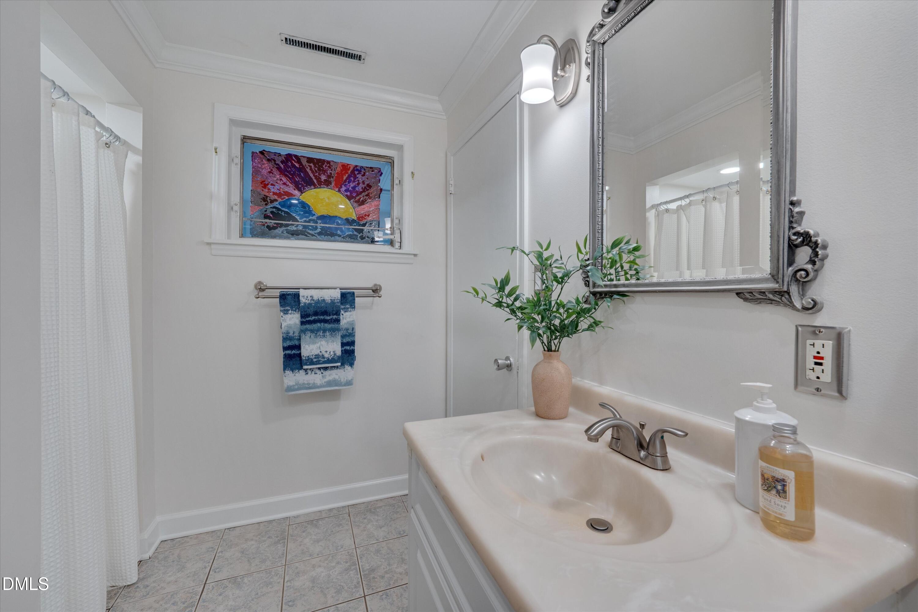 1617 Shawnee Street Durham, NC 27701 - Photo 34 of 56 a bathroom with a sink a mirror and a potted plant