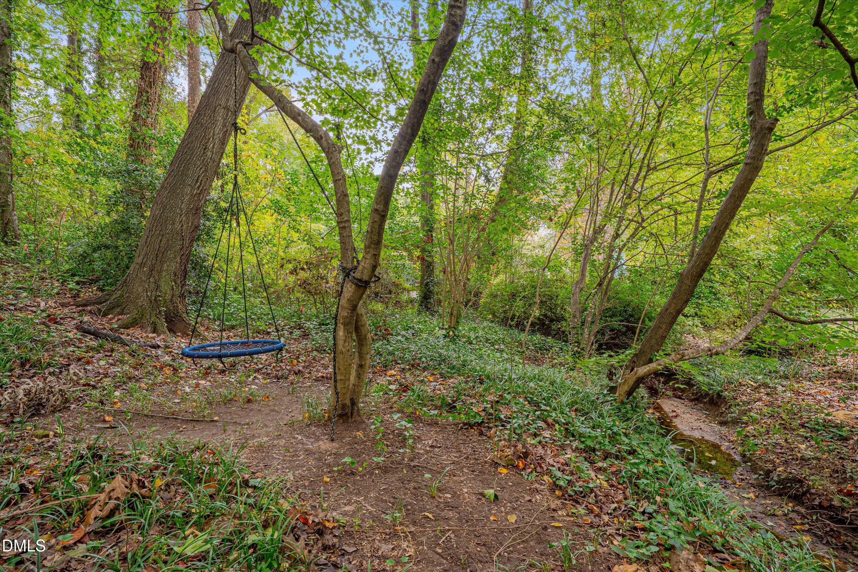 1617 Shawnee Street Durham, NC 27701 - Photo 51 of 56 a view of a forest with trees in the background