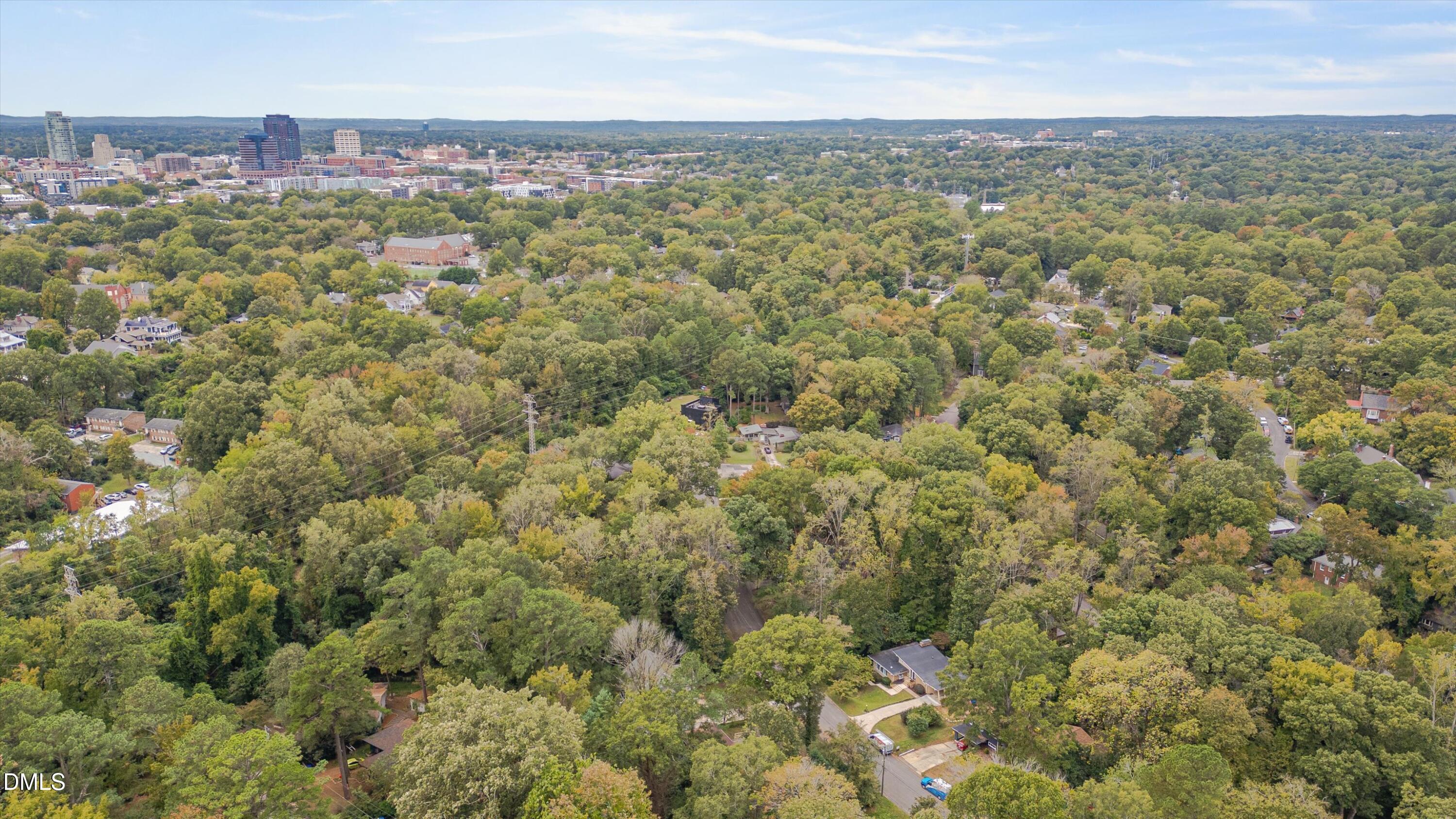 1617 Shawnee Street Durham, NC 27701 - Photo 55 of 56 an aerial view of residential houses with city view