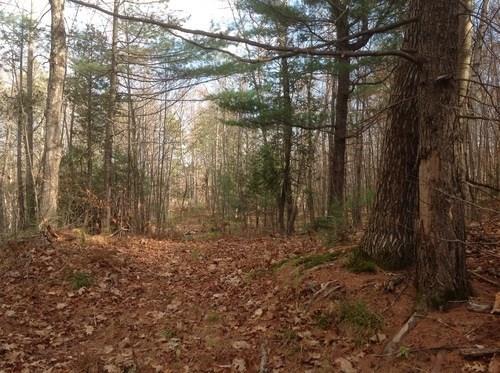 Lot 2 Town Farm Road North Anson, ME 04958 - Photo 2 of 3 Photo