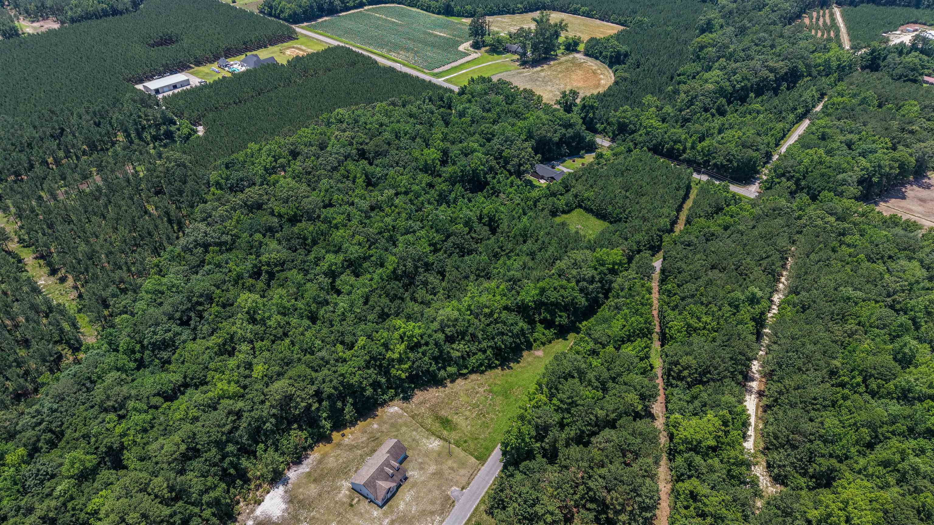 Tbd Tbd Rose Hill Road Georgetown, SC 29440 - Photo 11 of 17