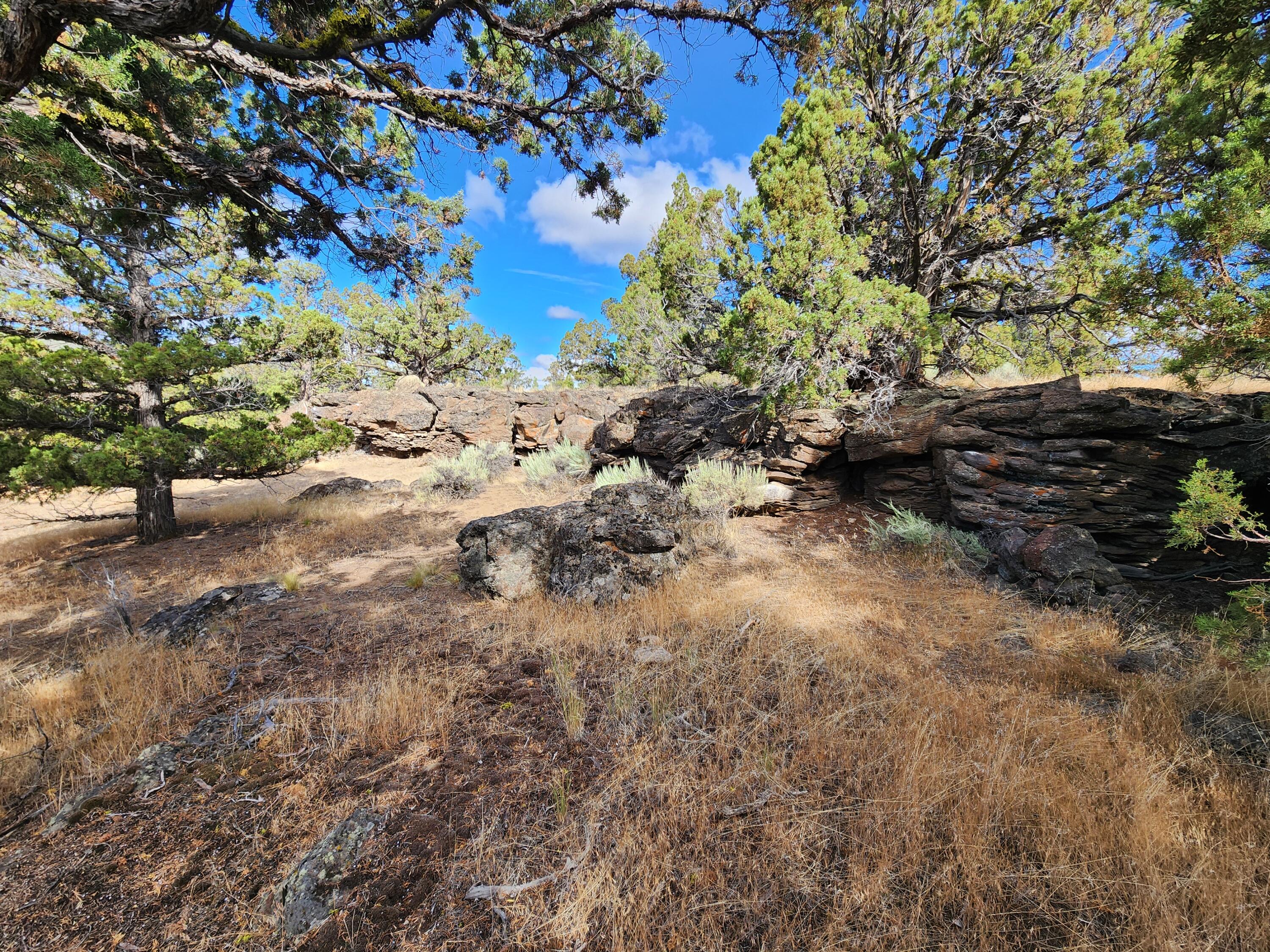 Fox Butte Road Bend, OR 97701 - Photo 21 of 27 20250807_094445