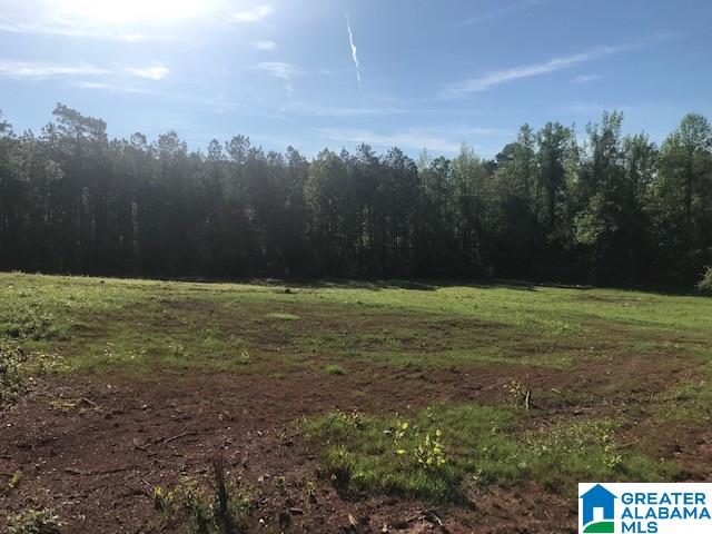 18 County Road, Unit 30 Goodwater, AL 35072 - Photo 5 of 13 Gallery Image 5
