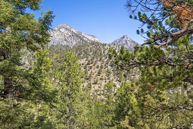 $649,000 | 2169 Via Spes Nostra Street, Mount Charleston, NV 89124
