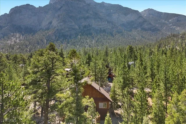 $649,000 | 2169 Via Spes Nostra Street, Mount Charleston, NV 89124