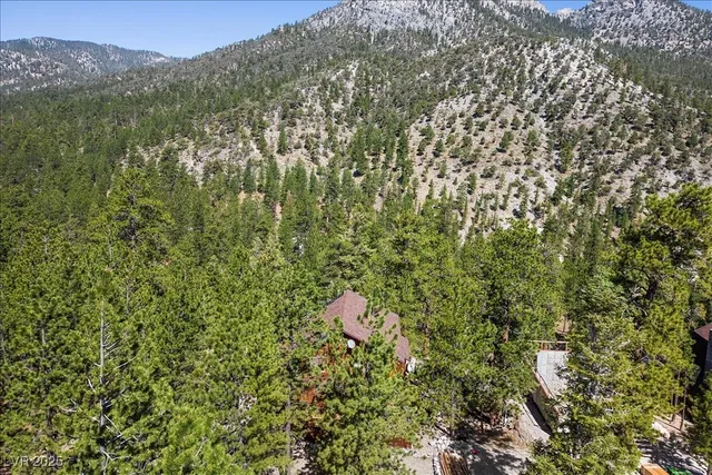 $649,000 | 2169 Via Spes Nostra Street, Mount Charleston, NV 89124