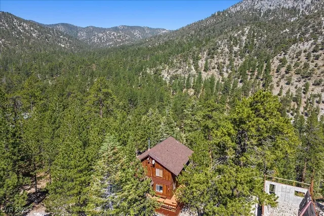 $649,000 | 2169 Via Spes Nostra Street, Mount Charleston, NV 89124