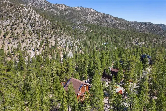 $649,000 | 2169 Via Spes Nostra Street, Mount Charleston, NV 89124