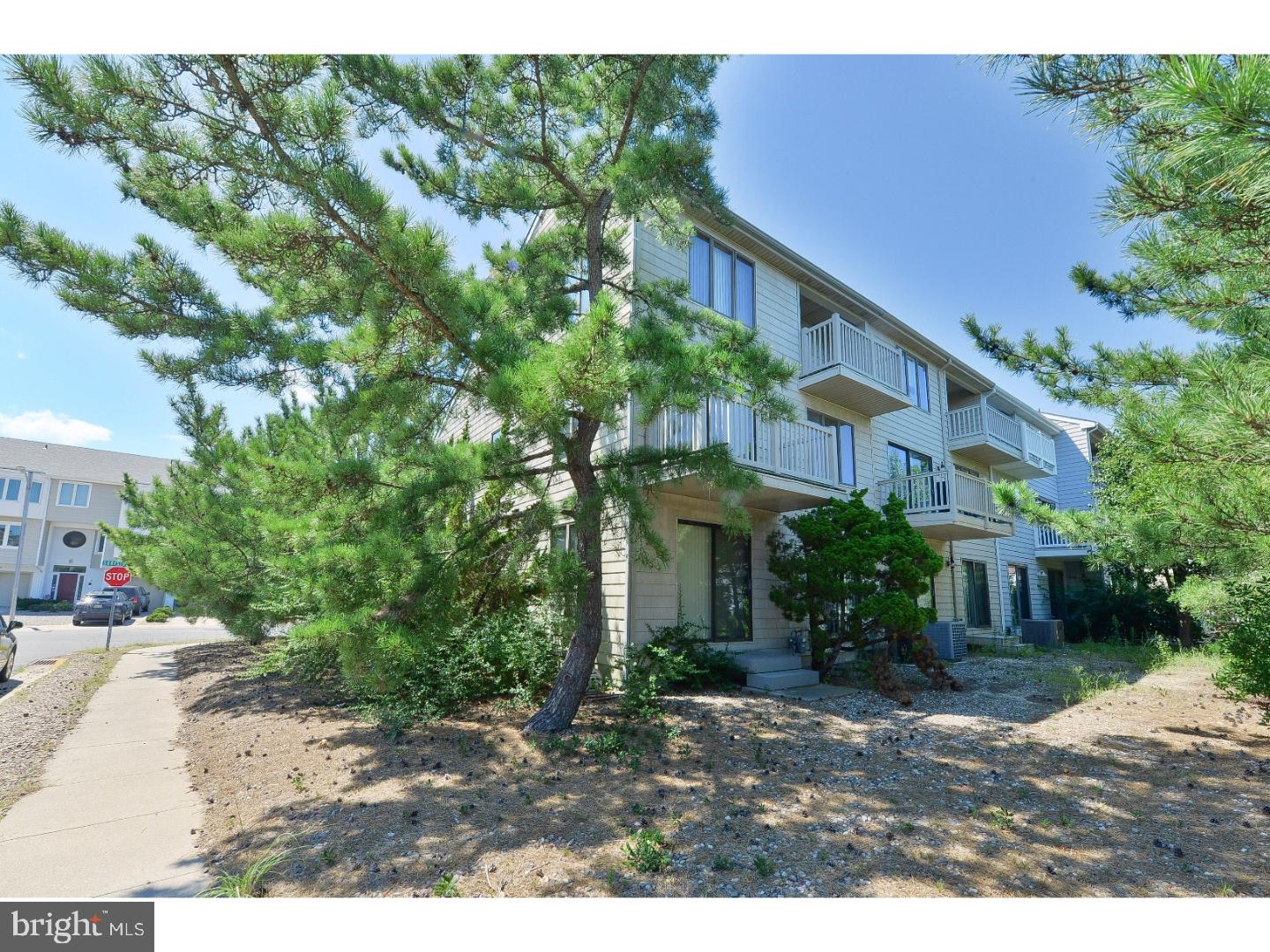25 Surfside Road Brigantine, NJ 08203 - Photo 24 of 25 Gallery Image 24