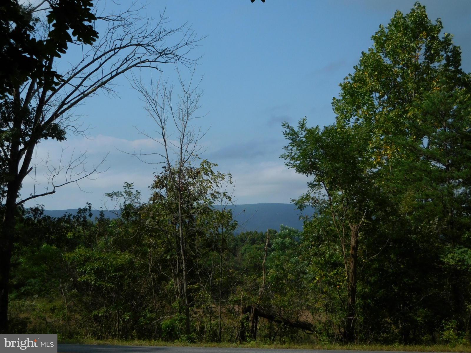 9 B Reynolds Road Cross Junction, VA 22625 - Photo 3 of 4 Potential view looking North from Tract