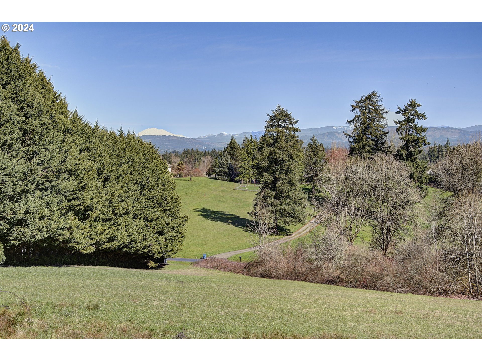 1411 Northwest 211th Circle Ridgefield, WA 98642 - Photo 33 of 47