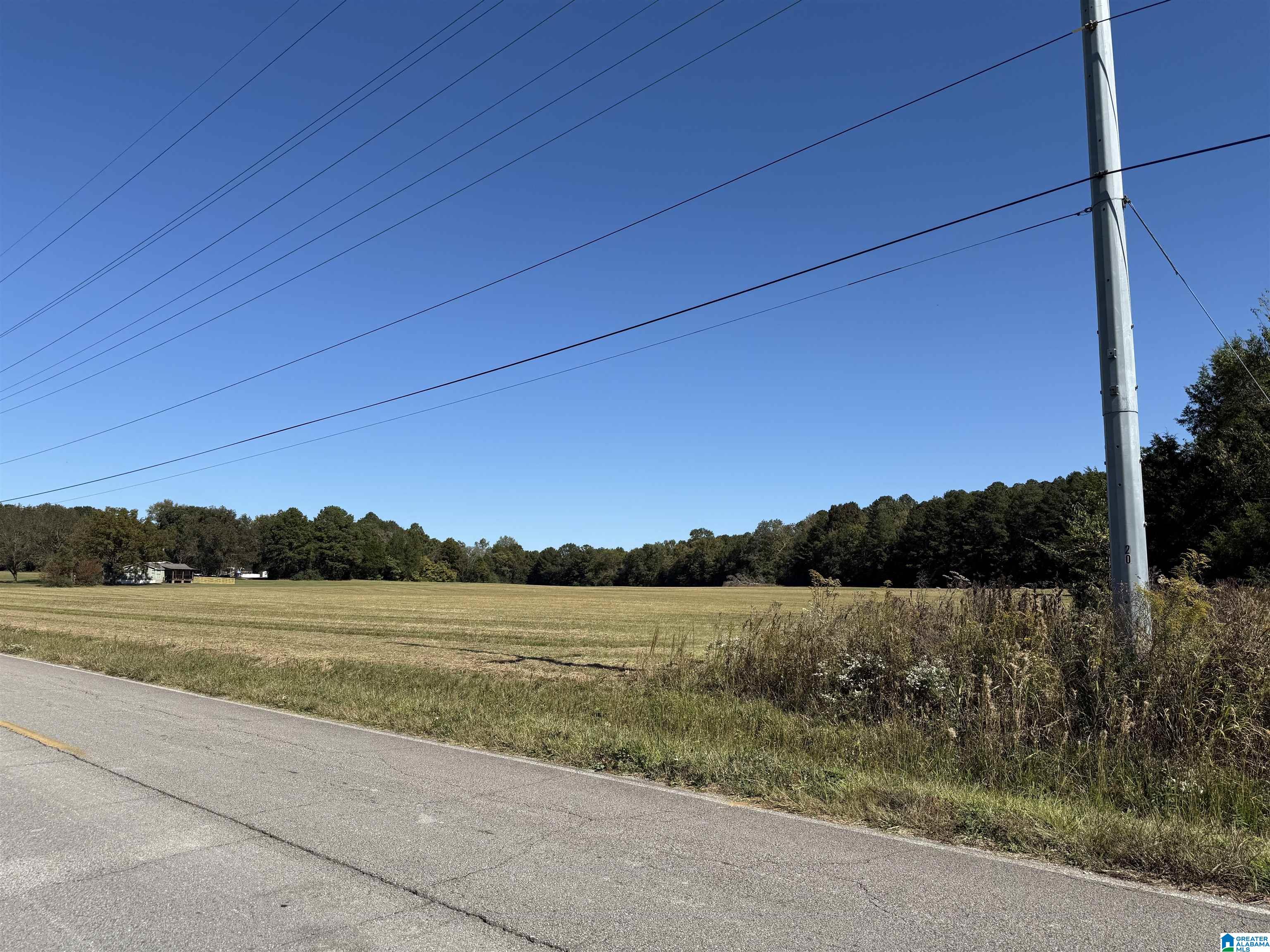 0 Old Six Mile Road, Unit 103 Somerville, AL 35670 - Photo 6 of 17