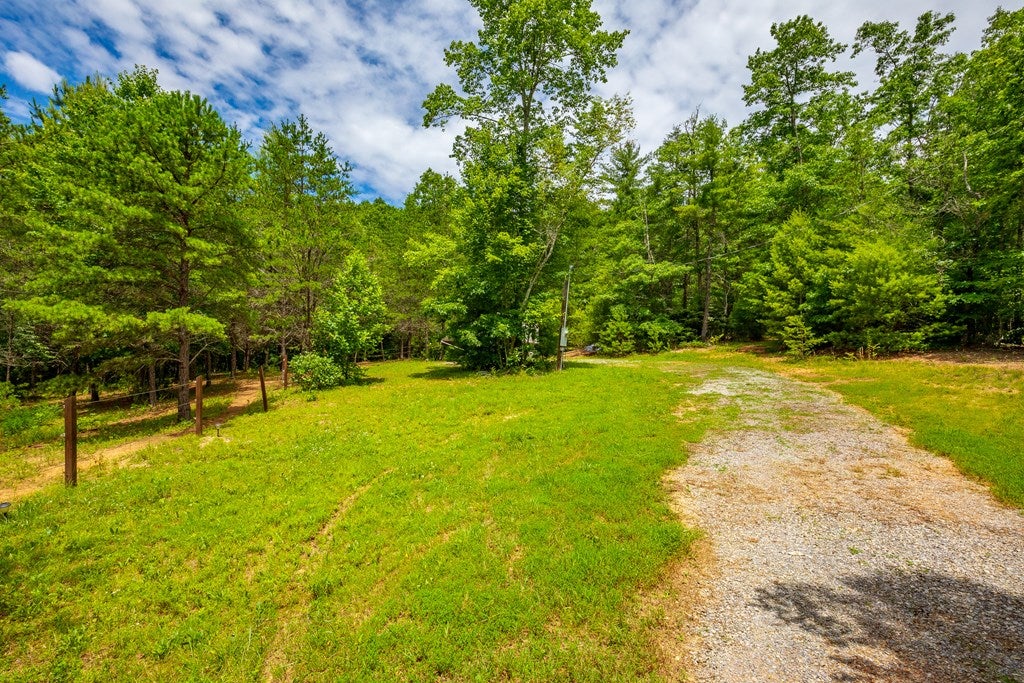 474 Scratch Gravel Road, Unit 96 Ivanhoe, VA 24350 - Photo 10 of 75 Gallery Image 10