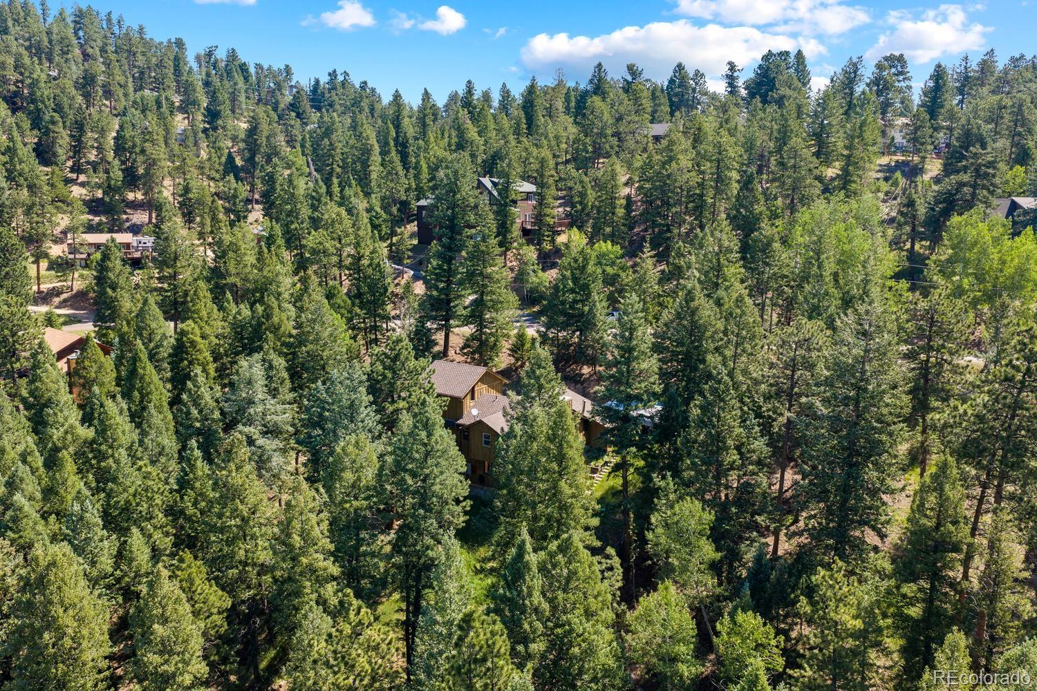 32638 Little Cub Road Evergreen, CO 80439 - Photo 36 of 39
