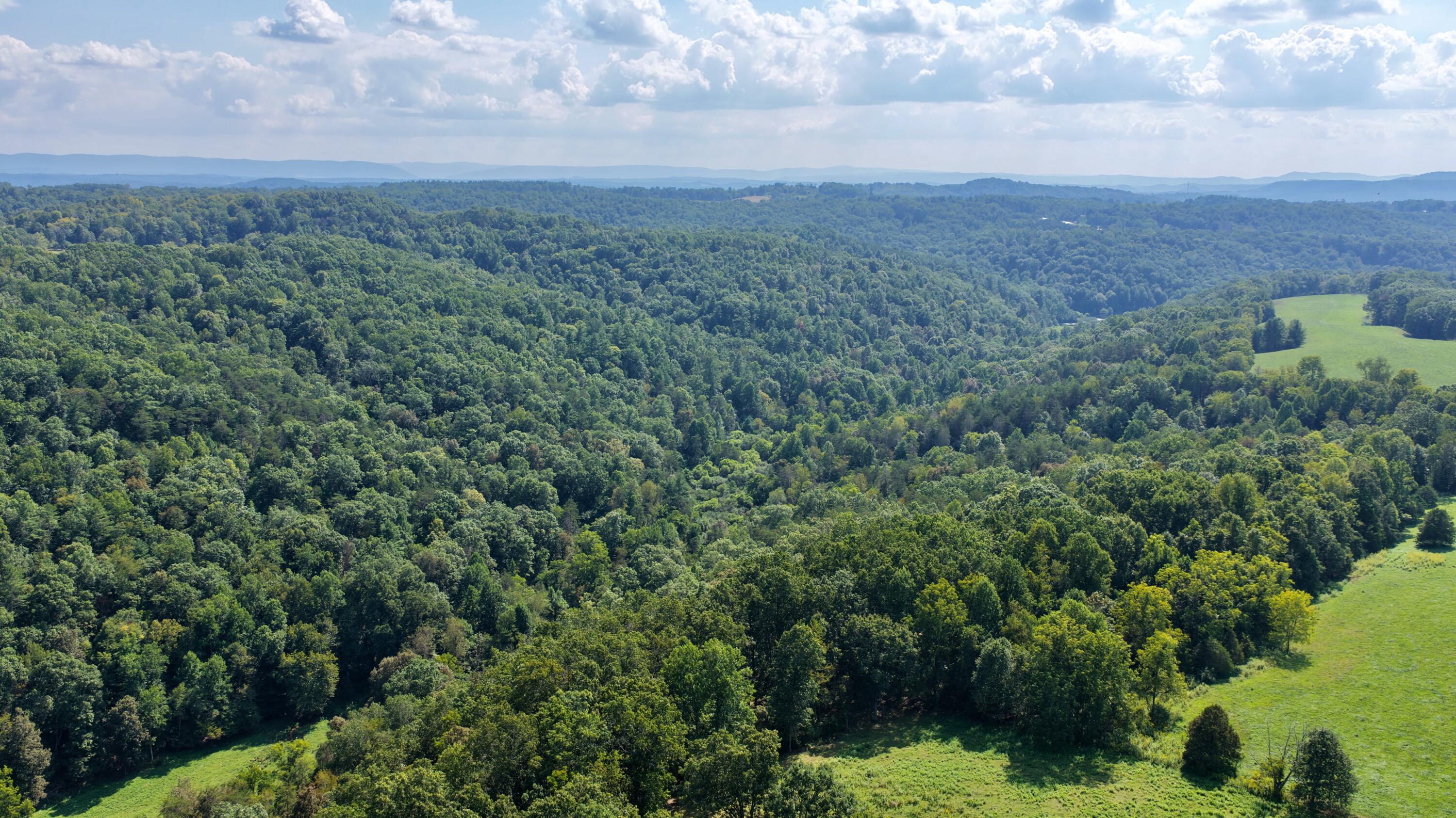 3513 War Ridge Road Wayside, WV 24985 - Photo 59 of 71 Gallery Image 59