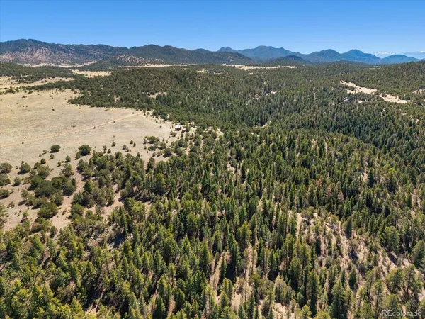 a view of a mountain with a forest
