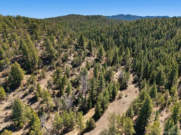 a view of a covered with green space