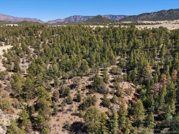 a view of a mountain in the distance