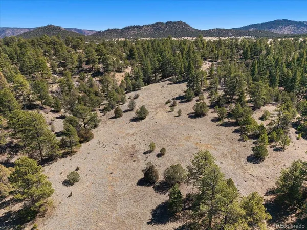 a view of a city with mountains in the background