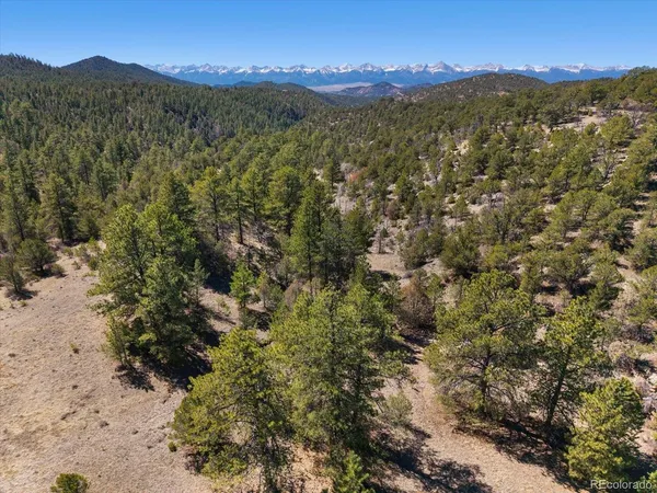 a view of a yard with a mountain