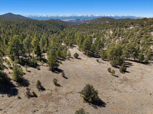 a view of a mountain with a forest