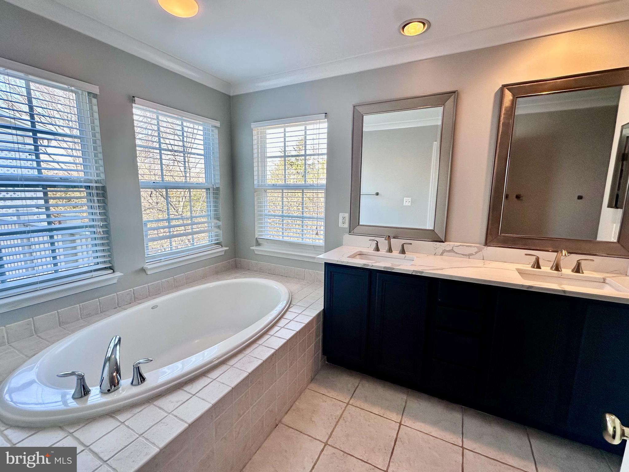 43270 Sunderleigh Square Broadlands, VA 20148 - Photo 11 of 24 a bathroom with a bathtub sink and mirror