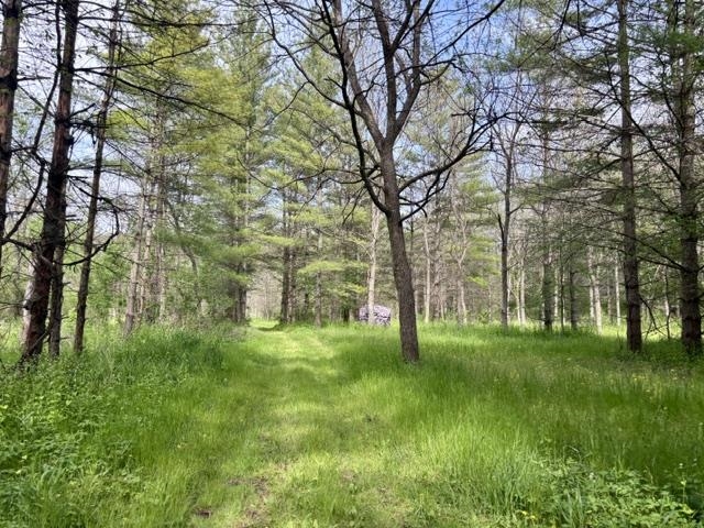 50792 Haney Valley Road Gays Mills, WI 54631 - Photo 10 of 39