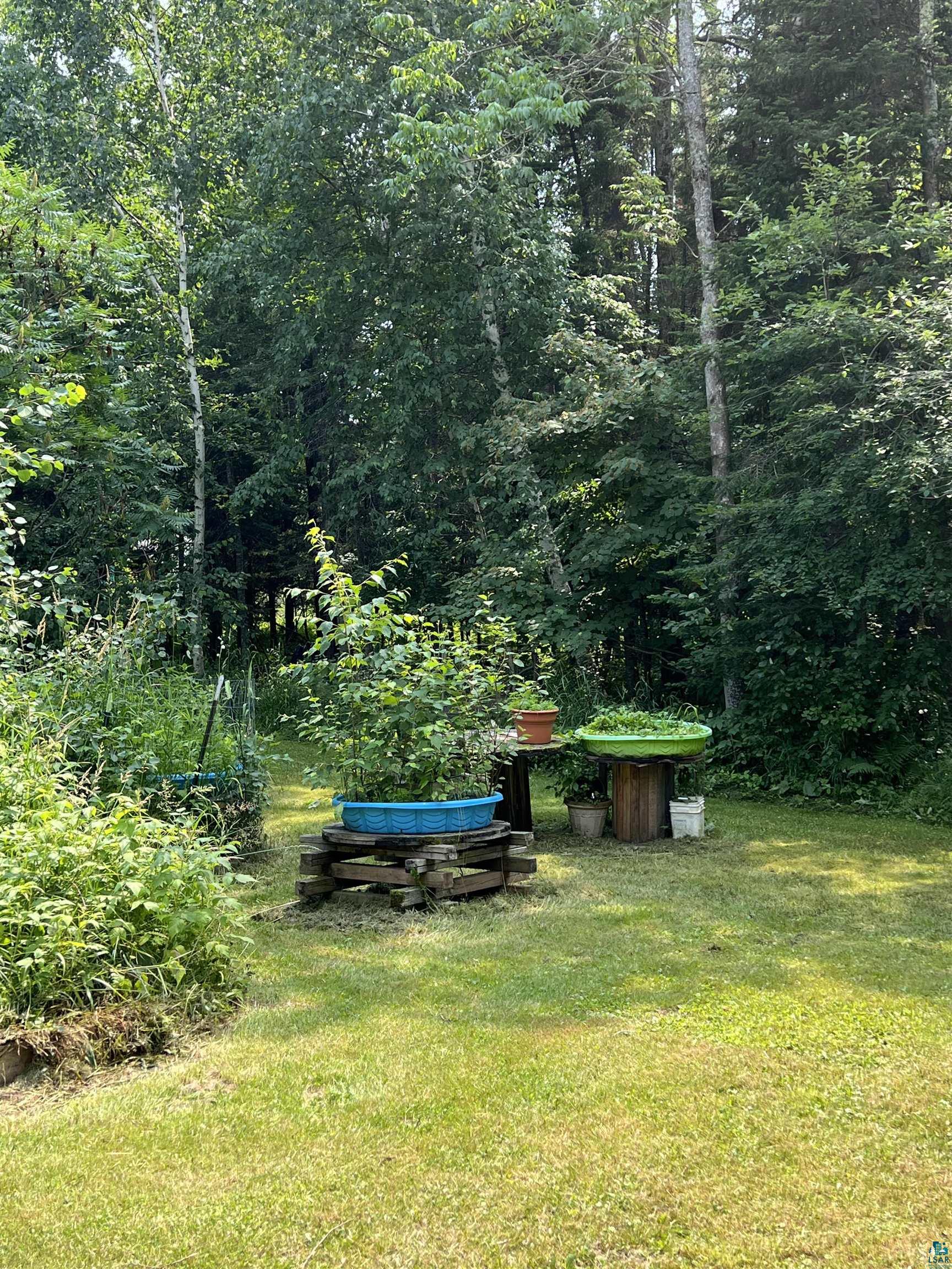 22715 Elm Street Cornucopia, WI 54827 - Photo 3 of 23 View of grassy yard with a wooded view