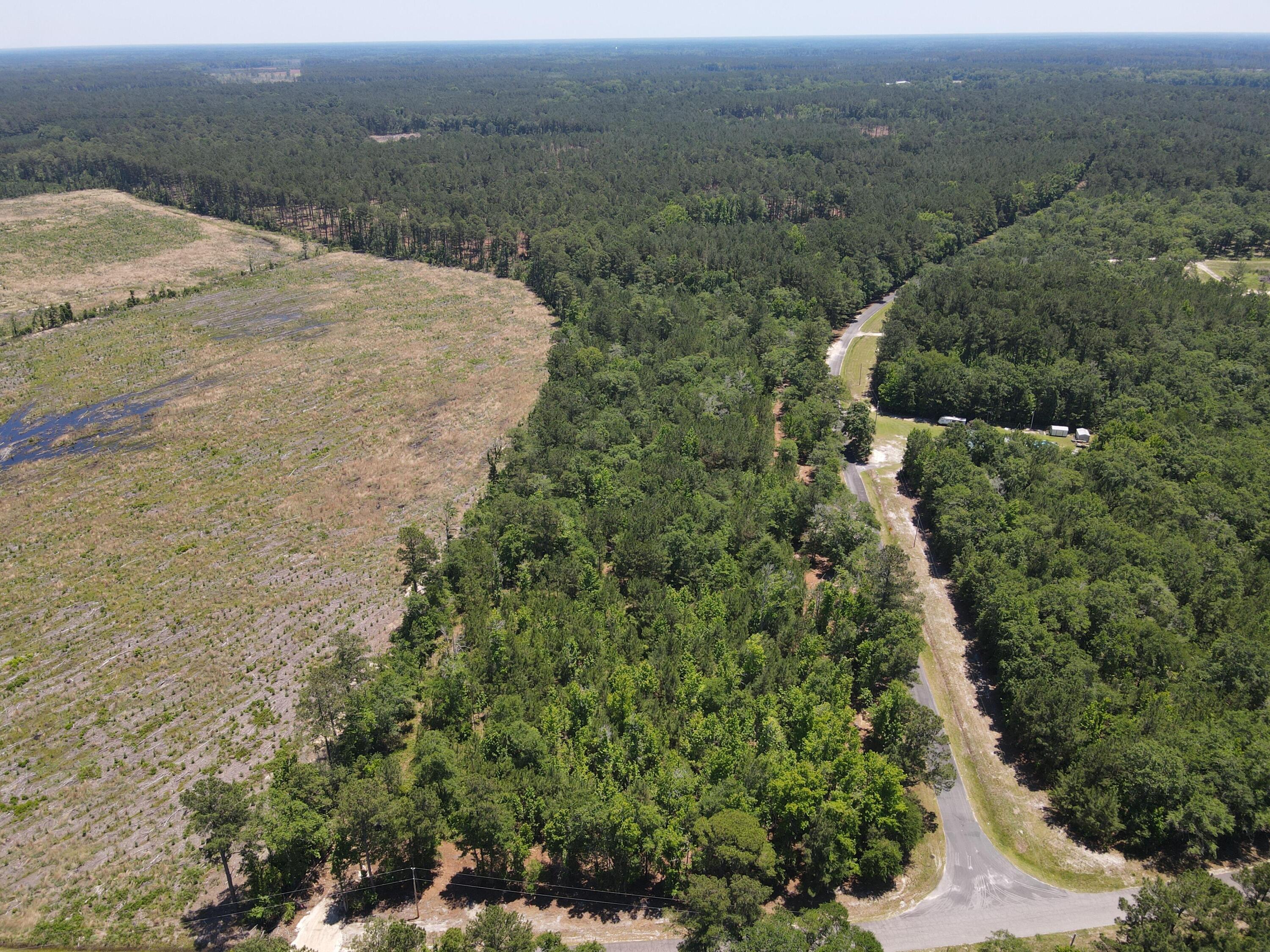 0 Tumbleweed Road Smoaks, SC 29481 - Photo 5 of 11
