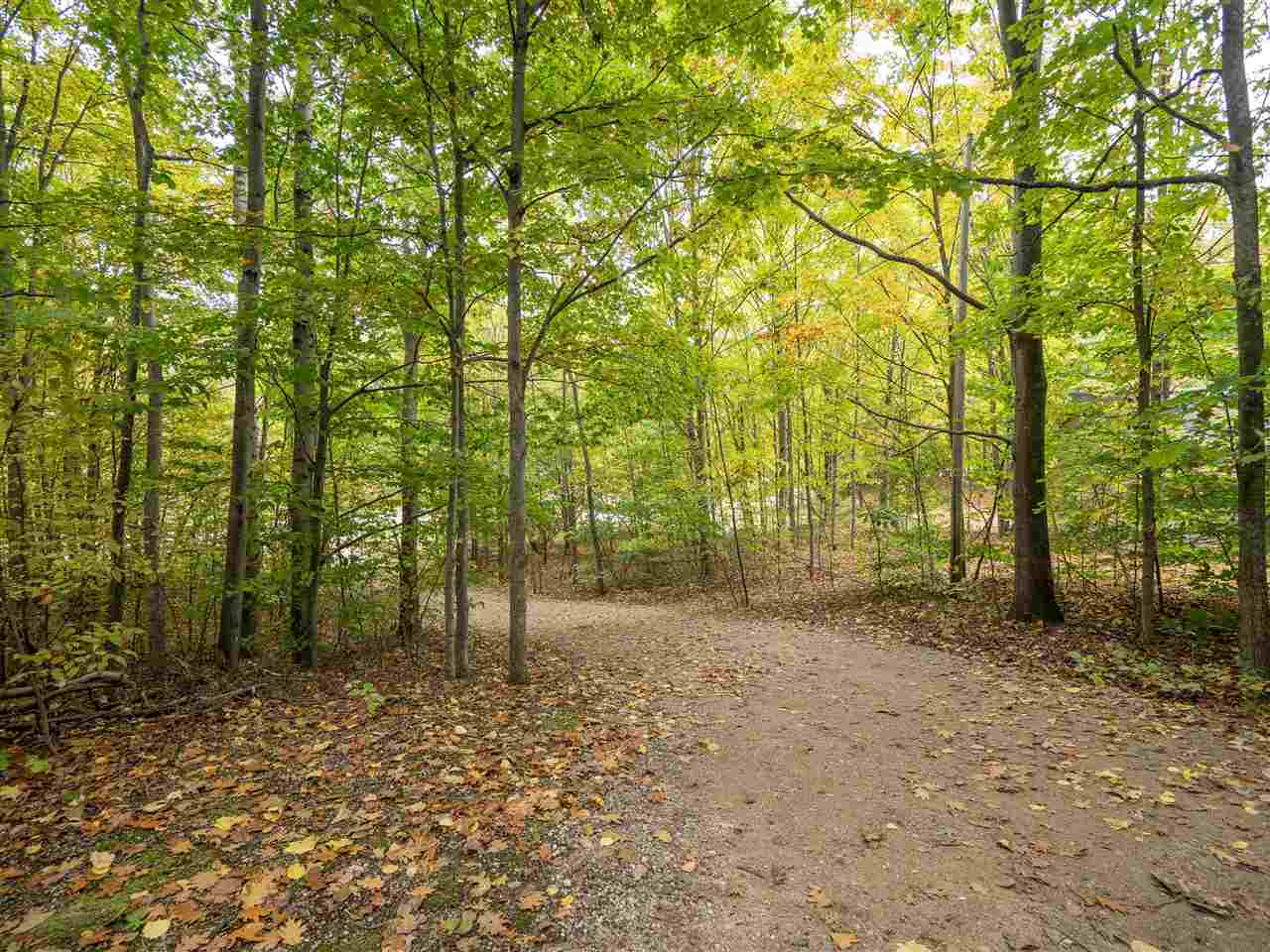1787 East Old Mountain Road Cedar, MI 49621 - Photo 33 of 49 1894201-32.JPG