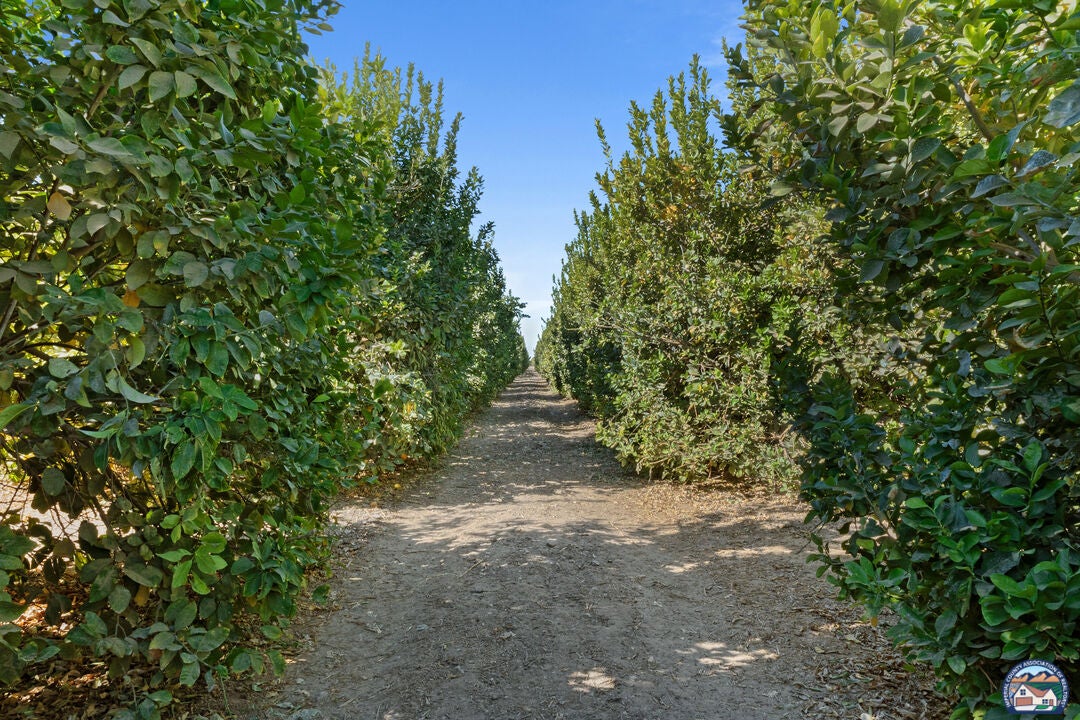 7704 Blair Road Calipatria, CA 92233 - Photo 18 of 44 Gallery Image 18