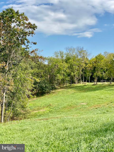 St Louis Road Purcellville, VA 20132 - Photo 2 of 10 a view of a trees with a yard