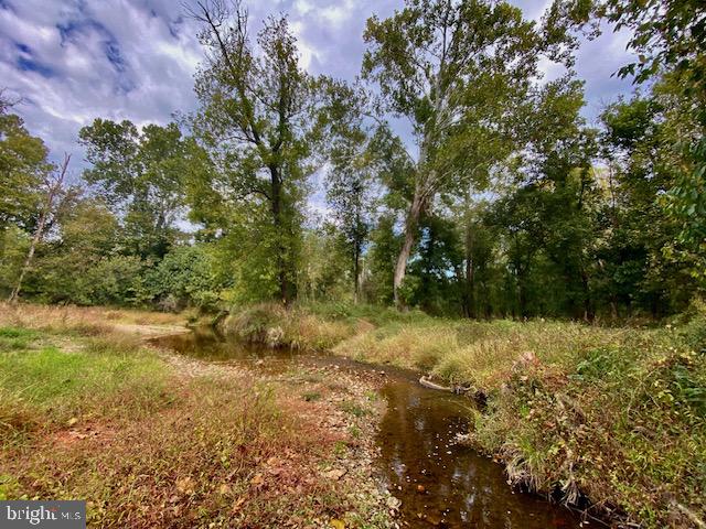 St Louis Road Purcellville, VA 20132 - Photo 6 of 10 a view of a yard with plants and trees