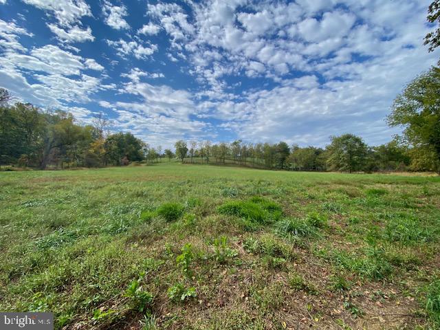 St Louis Road Purcellville, VA 20132 - Photo 8 of 10 a view of a field with a tree in it