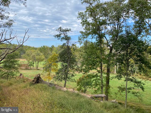 St Louis Road Purcellville, VA 20132 - Photo 9 of 10 a view of a yard