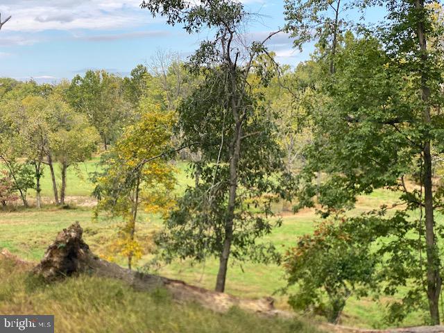 St Louis Road Purcellville, VA 20132 - Photo 10 of 10 a view of a yard with trees