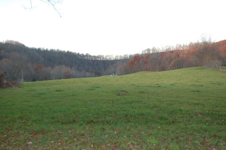 323 Sassafras Road Alderson, WV 24910 - Photo 11 of 18 Gallery Image 11