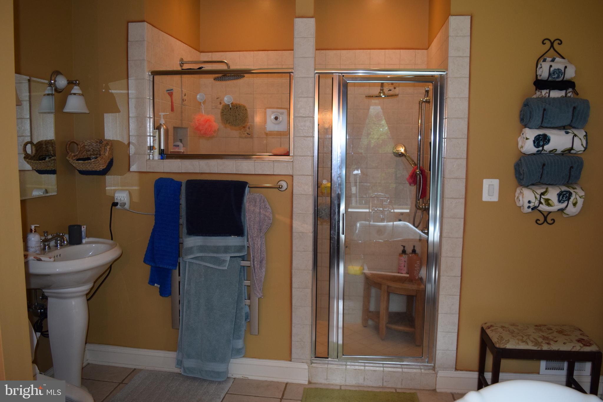 101 Timber Ridge Drive Front Royal, VA 22630 - Photo 14 of 60 Shower and 2nd sink in the primary bath