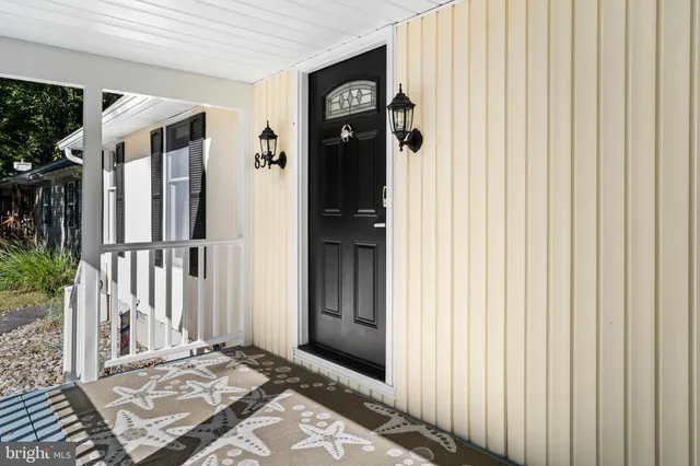 a close view of shoes