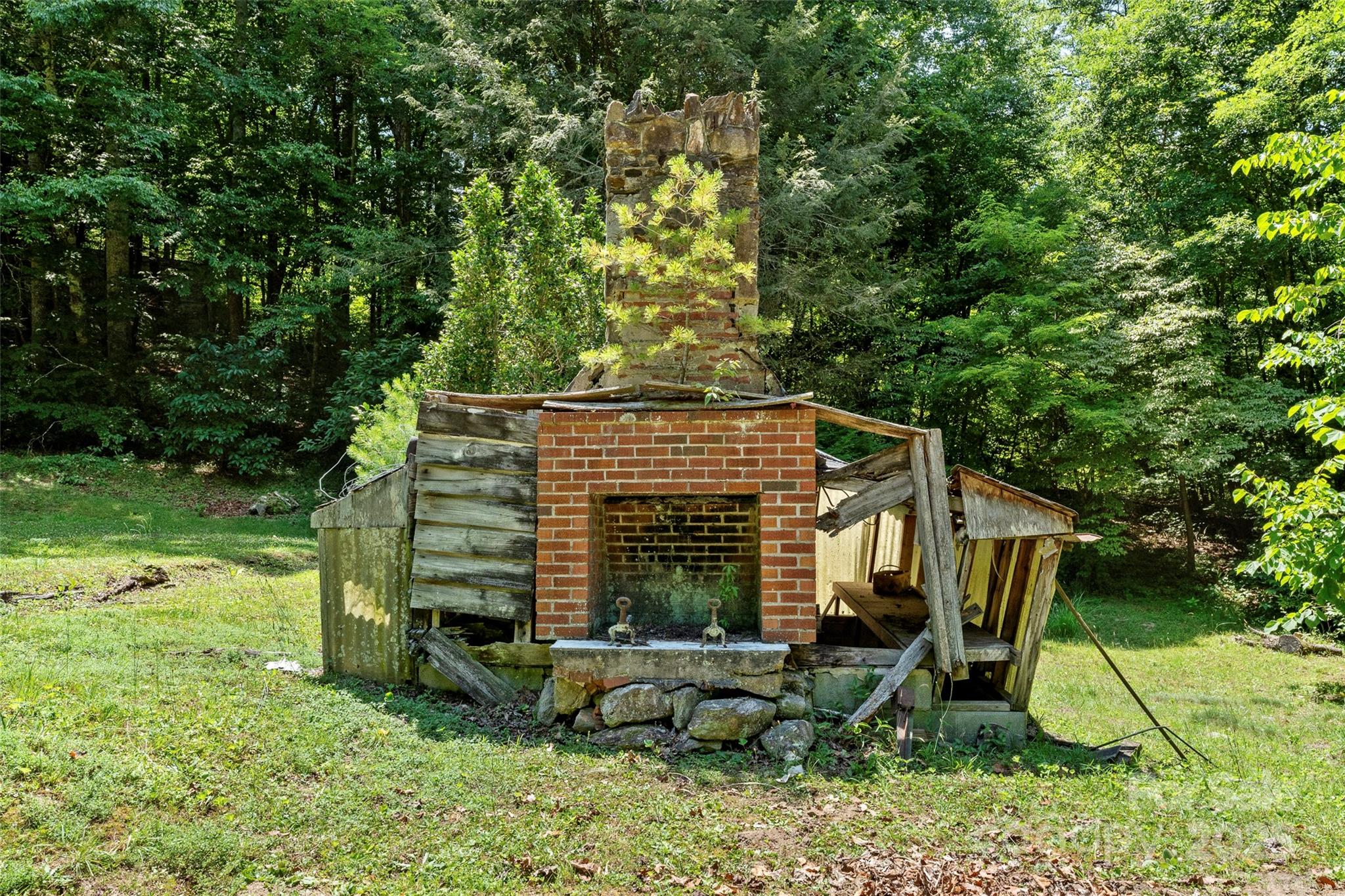 Tbd General Hill Road Flat Rock, NC 28731 - Photo 12 of 21