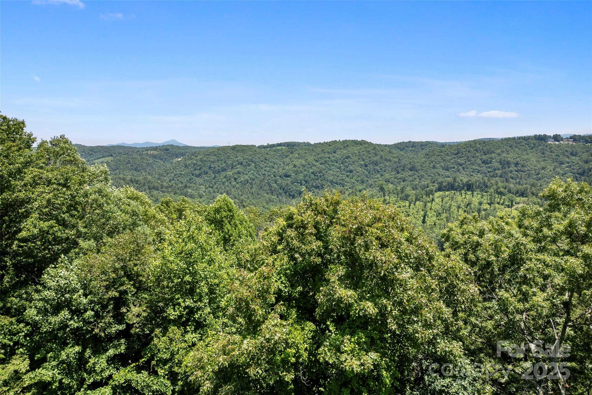 Tbd General Hill Road Flat Rock, NC 28731 - Photo 13 of 21