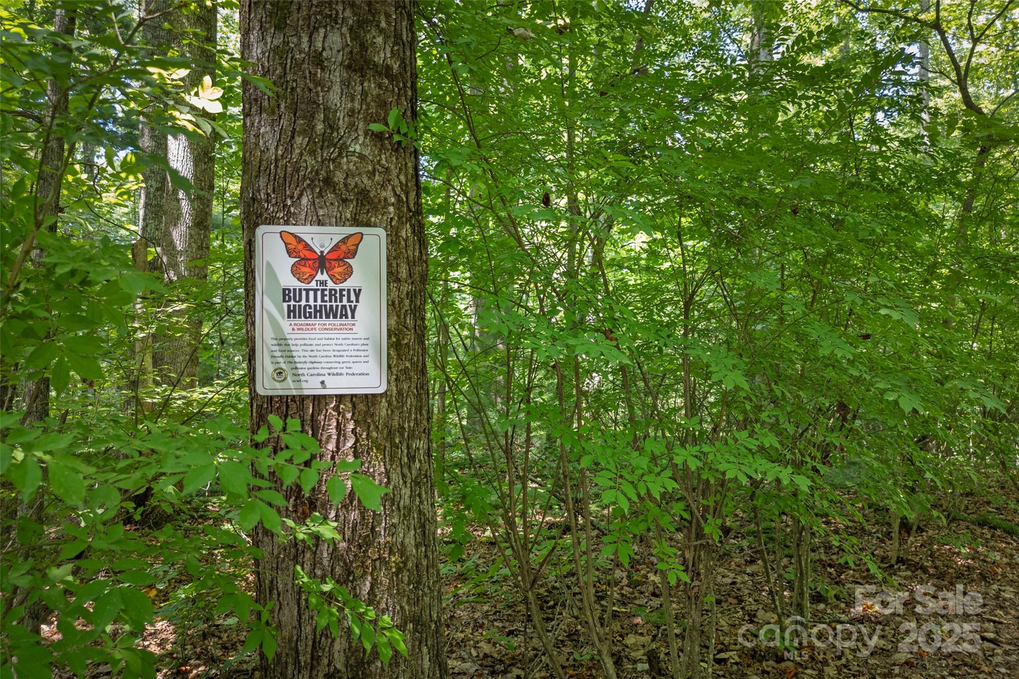 Tbd General Hill Road Flat Rock, NC 28731 - Photo 14 of 21